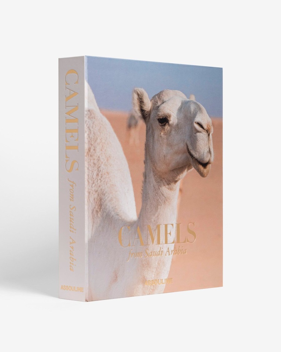 Travel | Assouline Camels From Saudi Arabia